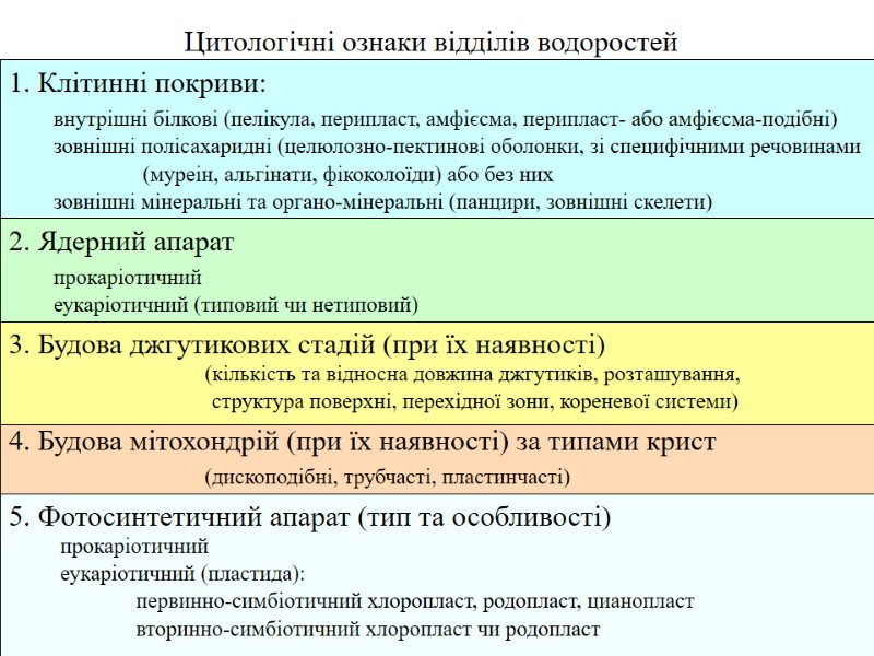 внутрішні білкові (пелікула, перипласт, амфієсма, перипласт- або амфієсма-подібні) Цитологічні ознаки відділів водоростей 1. Клітинні